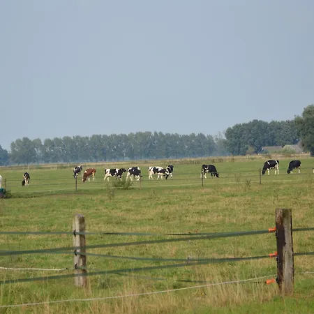 Holiday home In Near Hambroek, Cleaning Included Haarlo